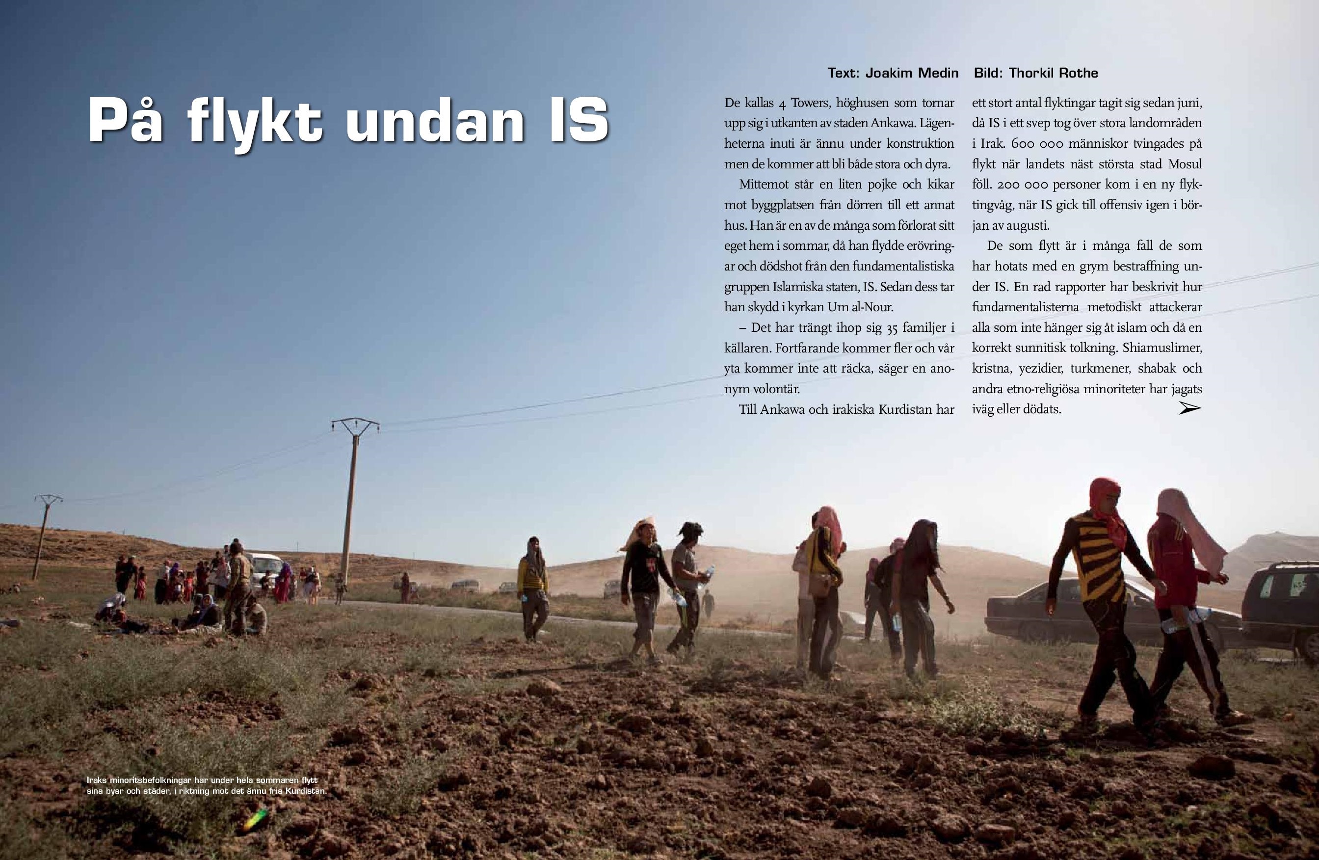 Irak, Amnesty sep 2014